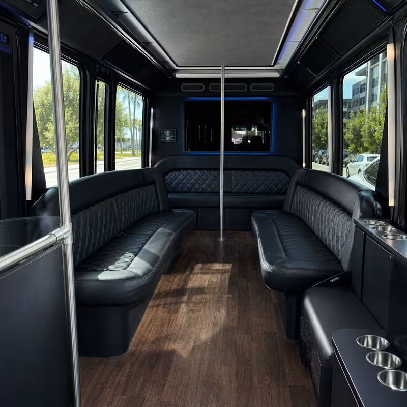Passenger watching the Tampa scenery during a regional party bus road trip