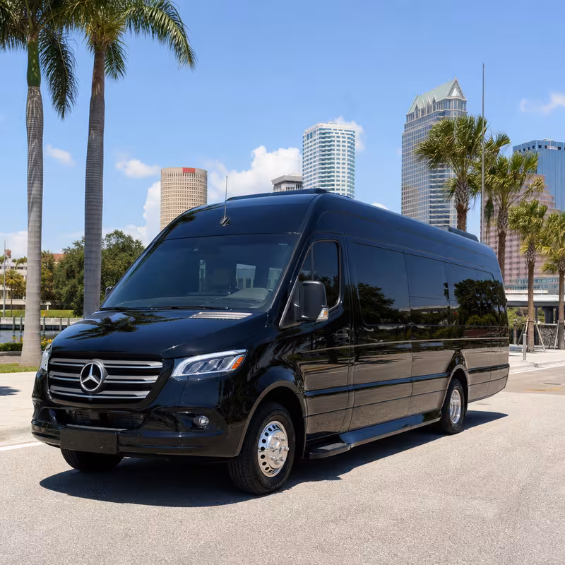 14 Passenger Sprinter Limo
