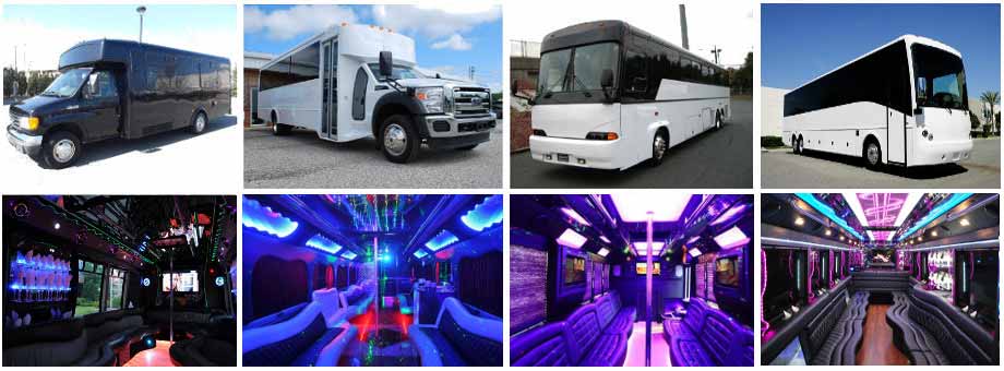 Airport Transportation Party Buses Tampa