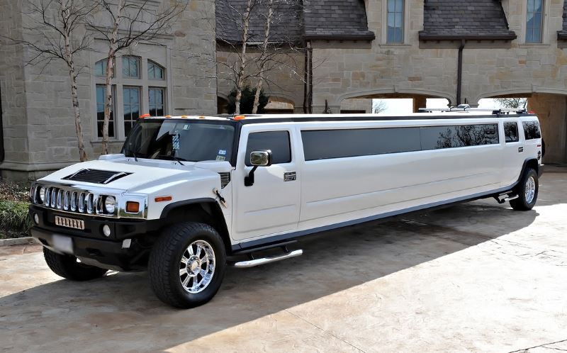 Tampa 20 Passenger Limo